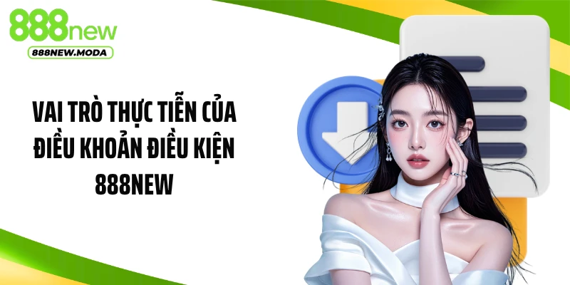 Vai trò thực tiễn của điều khoản điều kiện 888NEW